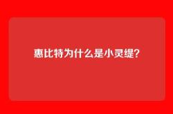 惠比特为什么是小灵缇？