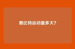 惠比特运动量多大？