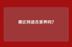 惠比特适合家养吗？