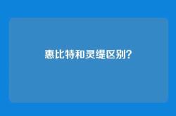 惠比特和灵缇区别？