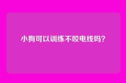 小狗可以训练不咬电线吗？