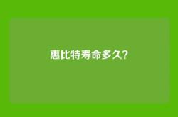惠比特寿命多久？