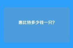 惠比特多少钱一只？