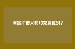 阿富汗猎犬和约克夏区别？