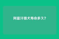 阿富汗猎犬寿命多久？