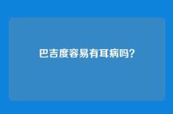 巴吉度容易有耳病吗？