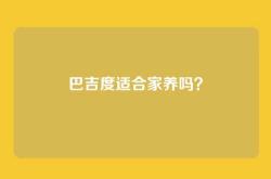 巴吉度适合家养吗？
