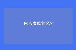 巴吉度吃什么？