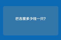 巴吉度多少钱一只？