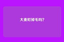 大麦町掉毛吗？