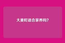 大麦町适合家养吗？