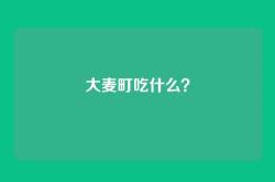 大麦町吃什么？