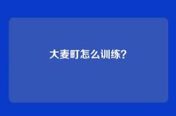 大麦町怎么训练？