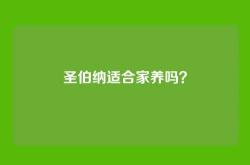 圣伯纳适合家养吗？