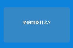 圣伯纳吃什么？