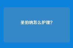 圣伯纳怎么护理？