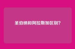 圣伯纳和阿拉斯加区别？