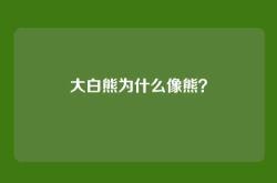 大白熊为什么像熊？
