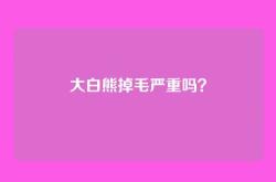 大白熊掉毛严重吗？