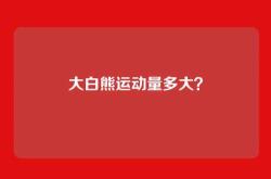 大白熊运动量多大？