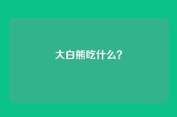 大白熊吃什么？