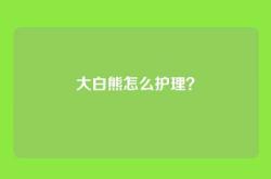 大白熊怎么护理？
