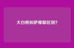 大白熊和萨摩耶区别？