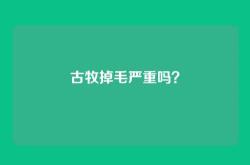古牧掉毛严重吗？