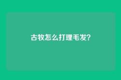 古牧怎么打理毛发？