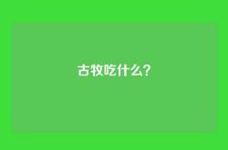 古牧吃什么？