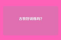 古牧好训练吗？