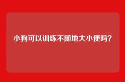 小狗可以训练不随地大小便吗？