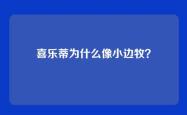 喜乐蒂为什么像小边牧？