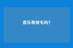 喜乐蒂掉毛吗？
