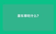喜乐蒂吃什么？