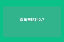 喜乐蒂吃什么？