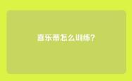 喜乐蒂怎么训练？