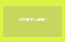 喜乐蒂怎么训练？