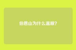 伯恩山为什么温顺？
