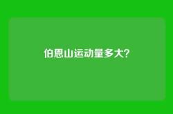伯恩山运动量多大？