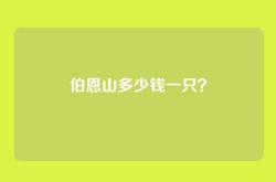 伯恩山多少钱一只？