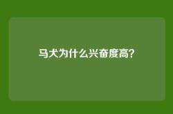 马犬为什么兴奋度高？