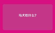 马犬吃什么？