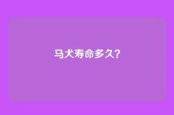 马犬寿命多久？