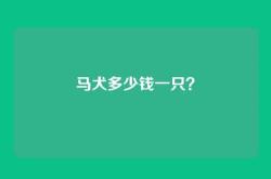 马犬多少钱一只？