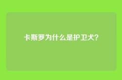 卡斯罗为什么是护卫犬？