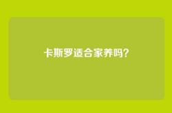 卡斯罗适合家养吗？