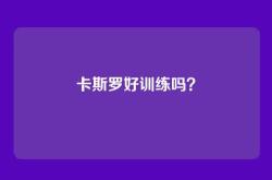 卡斯罗好训练吗？