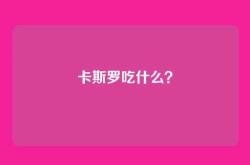 卡斯罗吃什么？