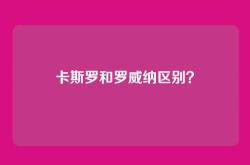卡斯罗和罗威纳区别？